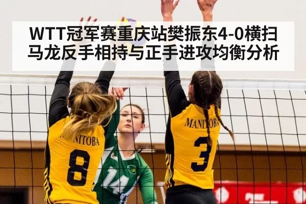 WTT冠军赛重庆站樊振东4-0横扫马龙反手相持与正手进攻均衡分析（jiuyou）