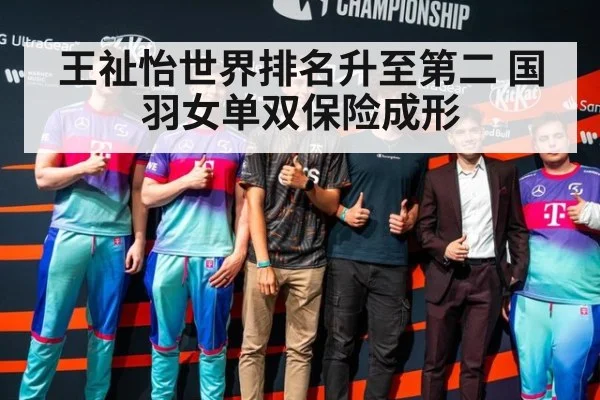 王祉怡世界排名升至第二 国羽女单双保险成形（jiuyou）