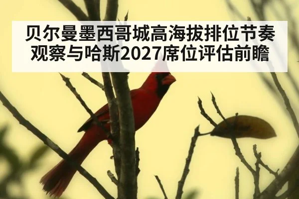 贝尔曼墨西哥城高海拔排位节奏观察与哈斯2027席位评估前瞻 - jiuyou
